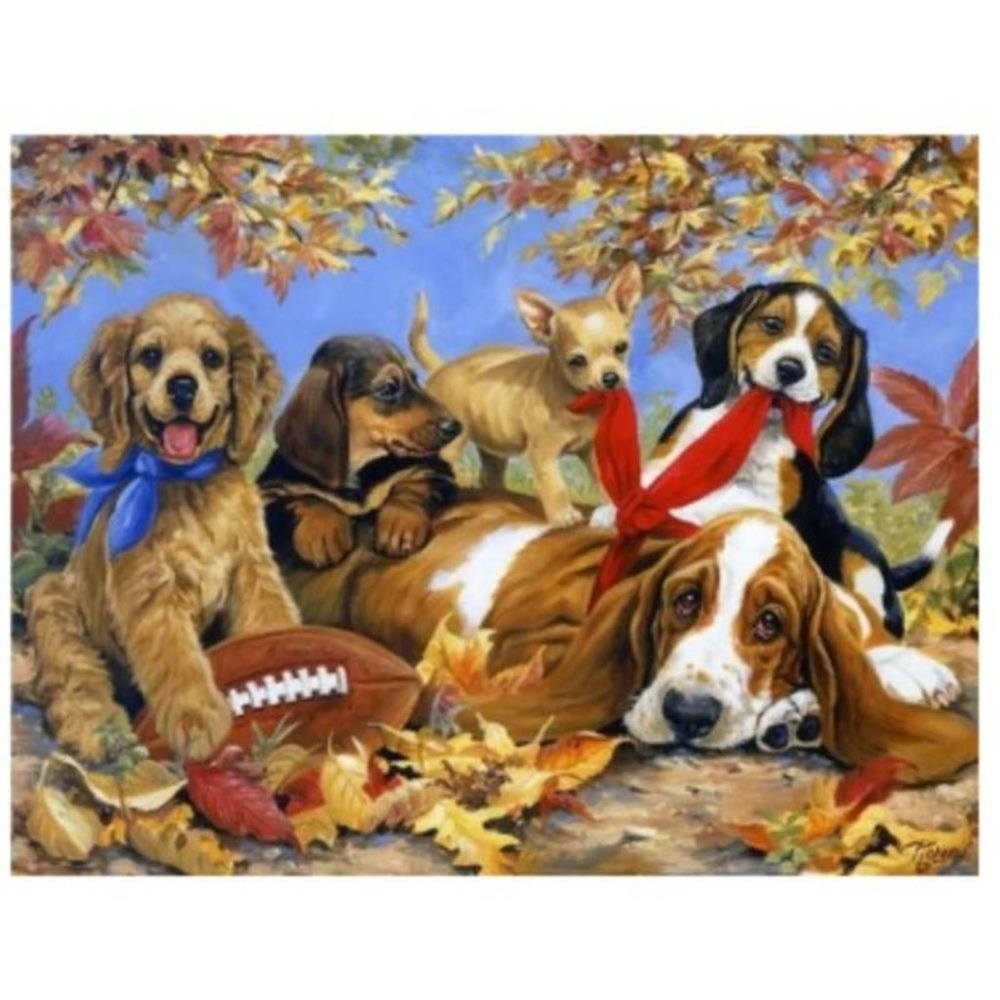 Jigsaw Puzzle 1000 Pieces